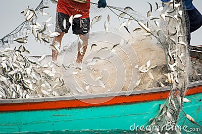 On the fisherman boat, Catching many fish Editorial Stock Photo