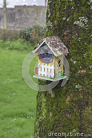 Novelty Bird Box ornamentation on the hugh trunk of an Ash tree Stock Photo