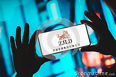 November 14, 2023, Brazil. In this photo illustration, the ZJLD Group logo is displayed on a smartphone screen Cartoon Illustration