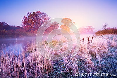 November landscape. Autumn morning with colorful trees and hoarfrost on the ground. Stock Photo