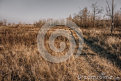 November landscape Stock Photo