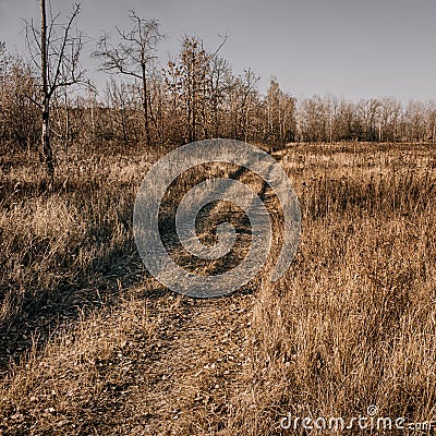 November landscape Stock Photo