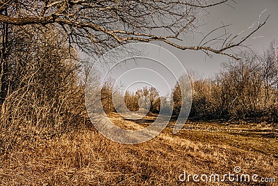 November landscape Stock Photo