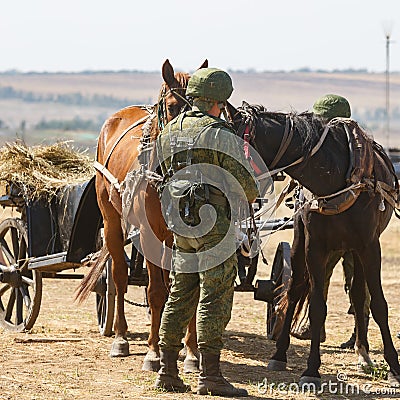 NOVOCHERKASSK, RUSSIA, 26 AUGUST 2017: Modern Russian soldier in full camouflage uniform is feeding the horses Editorial Stock Photo