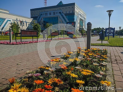 Noyabrsk, Russia - August 8, 2020: Summer/autumn blossoming orange and yellow gerbera on a city flower bed, selected focus Editorial Stock Photo