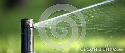 Nozzle of automatic lawn watering system, close-up. Stock Photo
