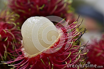 rambutan from the garden, sweet and delicious. Stock Photo