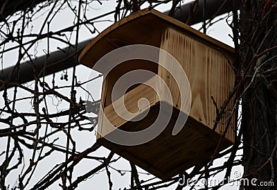 Nstallation and inspection of birdhouses on trees for spring nesting. A man in an overall fitter takes an ornithologist up a ladde Stock Photo