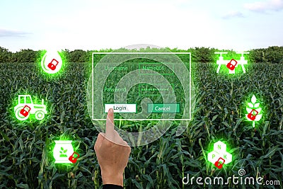 Nternet of thingsagriculture concept,smart farming,industrial agriculture.Farmer use the finger unlock the key and access to the Stock Photo