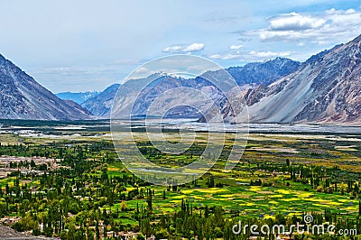 Nubra Valley-6/2011 Stock Photo