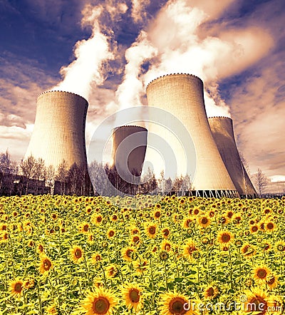 Nuclear power plant Temelin with sunflower field, Czech Republic Editorial Stock Photo