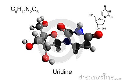 Chemical formula, skeletal formula, and 3D ball-and-stick model of nucleoside uridine, white background Stock Photo