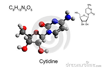 Chemical formula, skeletal formula, and 3D ball-and-stick model of nucleoside cytidine, white background Stock Photo