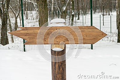A null pointer in a forest in winter. Place for your text. Stock Photo