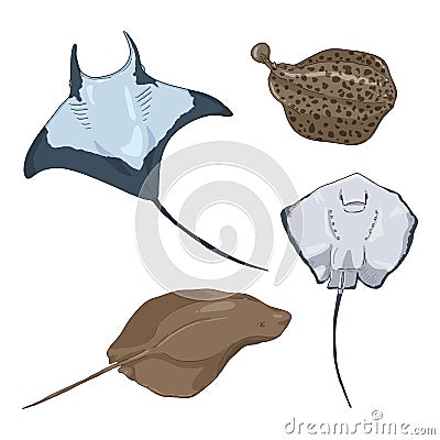 Numb-fishes Cartoon Set. Vector Collection of Stingrays Vector Illustration