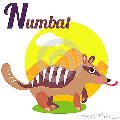 Numbat Vector Illustration