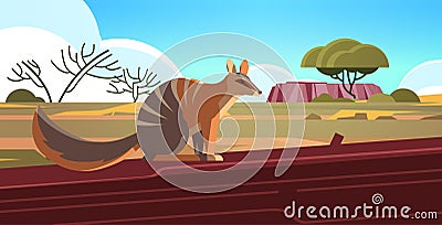 Numbat enjoying the sun in australia desert australian wild animal wildlife fauna concept landscape background Vector Illustration