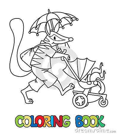 Numbat nanny ABC coloring book. Alphabet N Vector Illustration