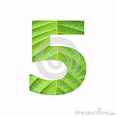 Number digit five - Tropical green leaf texture Stock Photo