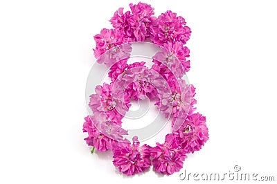 The number eight from flowers Stock Photo