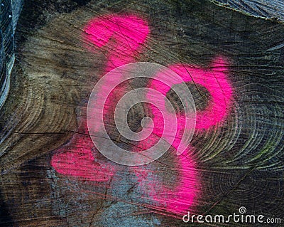 Number Eighteen in Pink Spray Paint on Tree Trunk Stock Photo