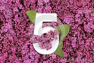 Number five shape on the purple Common Lilac Syringa vulgaris flowers background. Stock Photo