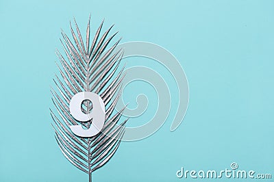 Number nine shape with silver palm leaves on blue background. Summer concept. Flat lay. Top view Stock Photo