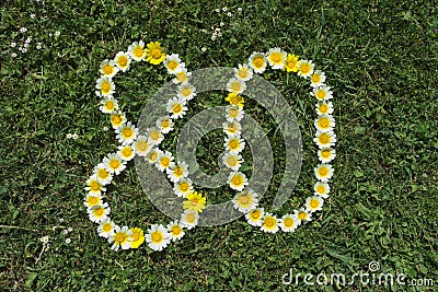 Numeral 80 of blossoms in a meadow Stock Photo