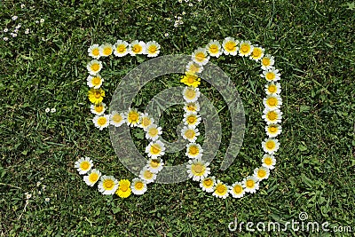 Numeral 50 of blossoms in a meadow Stock Photo