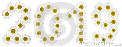 Numeral 2019 from white flowers of chamomile, isolated on white Stock Photo