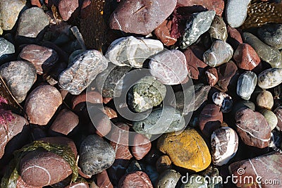 Numerous colorful stones that make up the beach. Stock Photo
