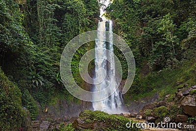 Nung-Nung Bali waterfall in rainforest Stock Photo
