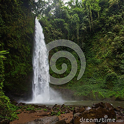 Nung-Nung Bali waterfall in rainforest Stock Photo