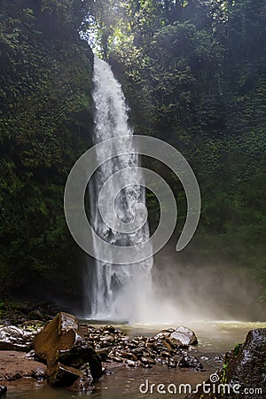 Nung-Nung Bali waterfall in rainforest Stock Photo