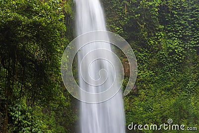 Nungnung waterfall in lush tropical forest, Bali Stock Photo