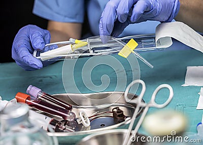 Nurse prepares Venous catheters of Long Duration in a hospital, Accessing Indwelling Central Venous Lines Stock Photo