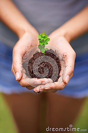 Nurturing young life. a young womans hands holding a seedling. Stock Photo