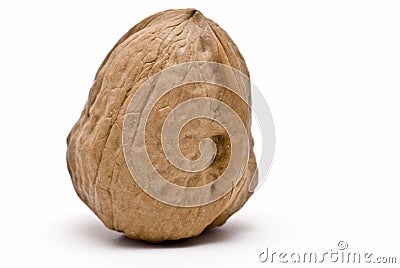 Nut. Stock Photo