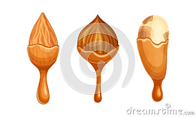 Nut as Edible Seed with Dripping Chocolate or Caramel Melting Liquid Vector Set Vector Illustration