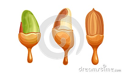 Nut as Edible Seed with Dripping Chocolate or Caramel Melting Liquid Vector Set Vector Illustration