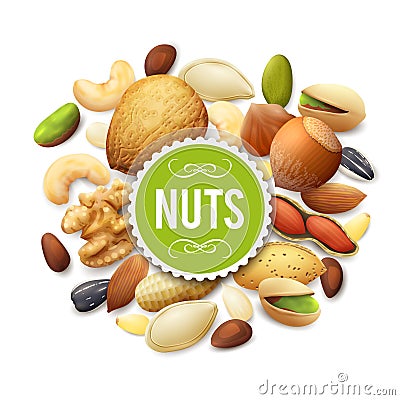 Nut Collection Illustration Vector Illustration