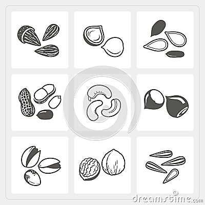 Nut icons set Vector Illustration