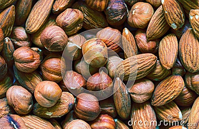 Nut mix background. Cashew, almond, hazelnut mix closeup. Organic food rustic banner template. Stock Photo