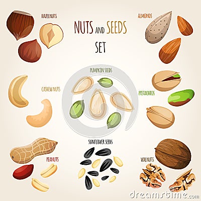 Nut mix set Vector Illustration