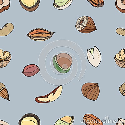 Nut seamless on white background. Hand drawn colorful pattern with different kind: pecan, almond, macadamia, pistachio Vector Illustration