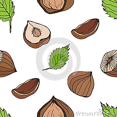 Nut seamless on white background. Hand drawn colorful pattern with hazelnut. Vector Illustration