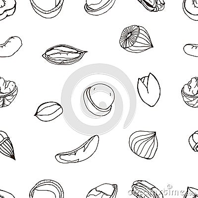 Nut seamless on white background. Hand drawn contour pattern with different kind pecan, almond, macadamia, pistachio Vector Illustration