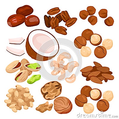 Nut seeds with shells, cartoon isolated organic dry nutty food mix, natural snack collection with healthy coconut almond Vector Illustration