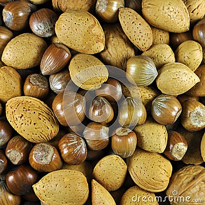 Nut selection background Stock Photo