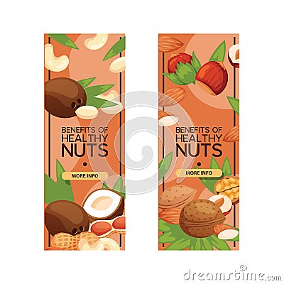 Nut vector nutshell of hazelnut walnut and almond nuts set backdrop organic food nutrition with cashew peanut and Vector Illustration